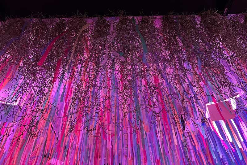| Terrapin Care Station meow wolf abstract art exhibit, denver colorado