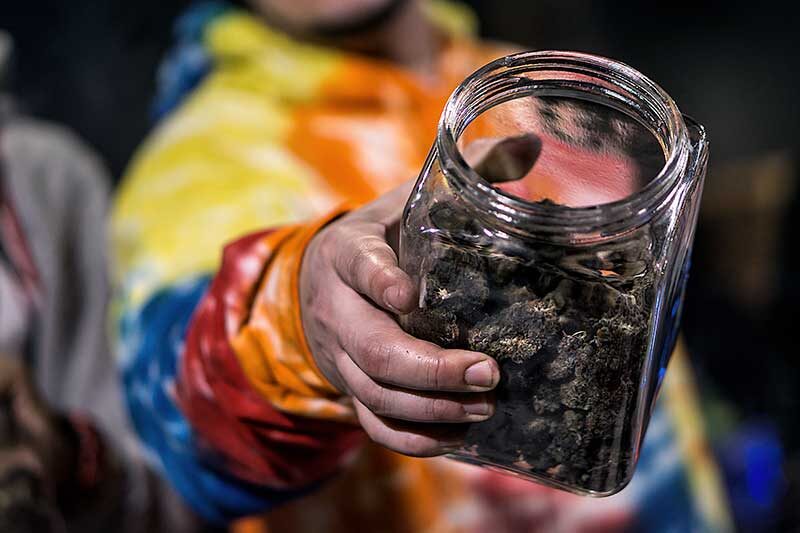 | Terrapin Care Station cannabis buying guide - budtender holding a jar of cannabis flowers