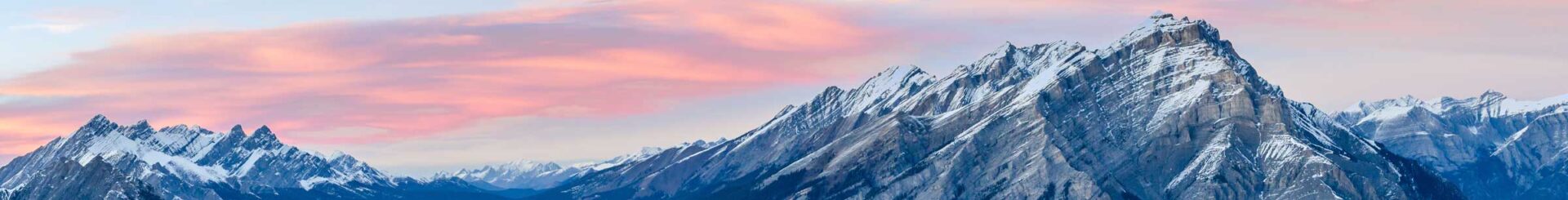 | Terrapin Care Station things to do in colorado rocky mountains