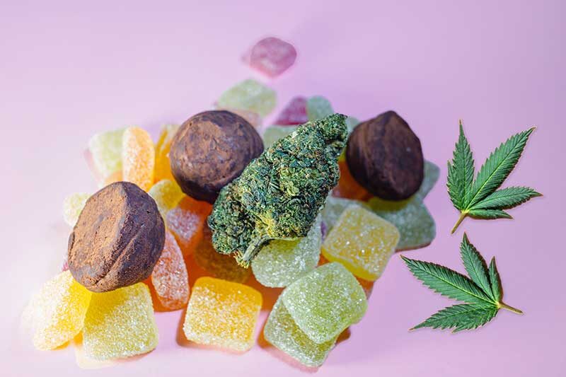 | Terrapin Care Station best weed dispensary Ward co