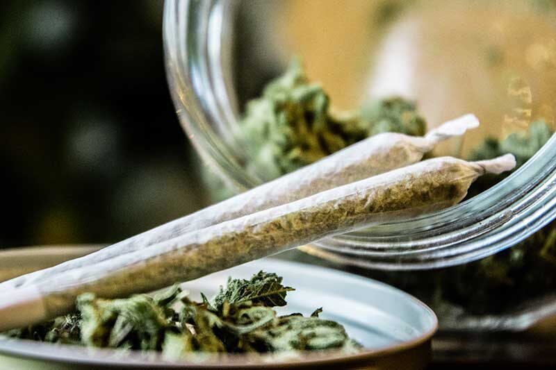 | Terrapin Care Station recreational cannabis dispensary Lyons co